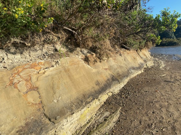 Auckland's volcanic heritage