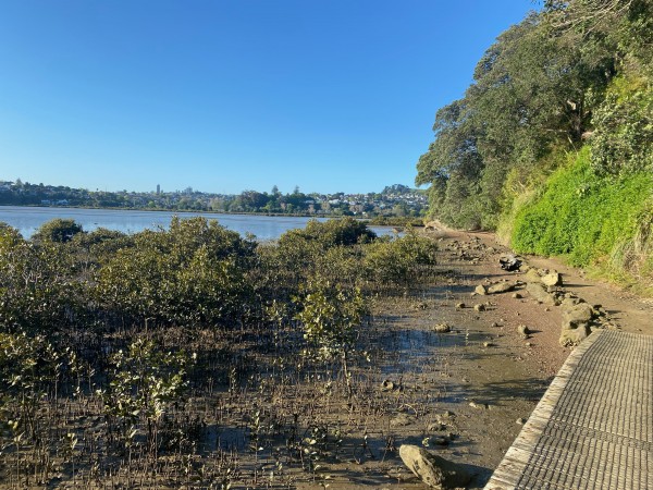 Looking back at Mount Hobson.