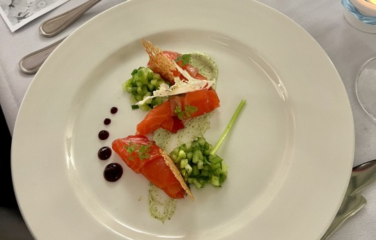 Salmon