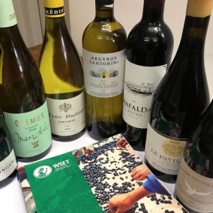 WSET Courses 