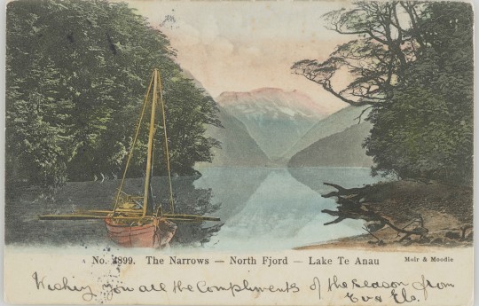 1900 Postcard The Narrows North Fjord full copy