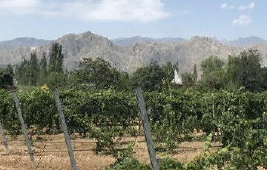 image v68