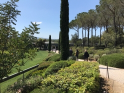 IMG 0501