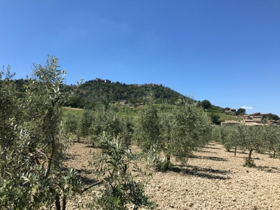 IMG 0688